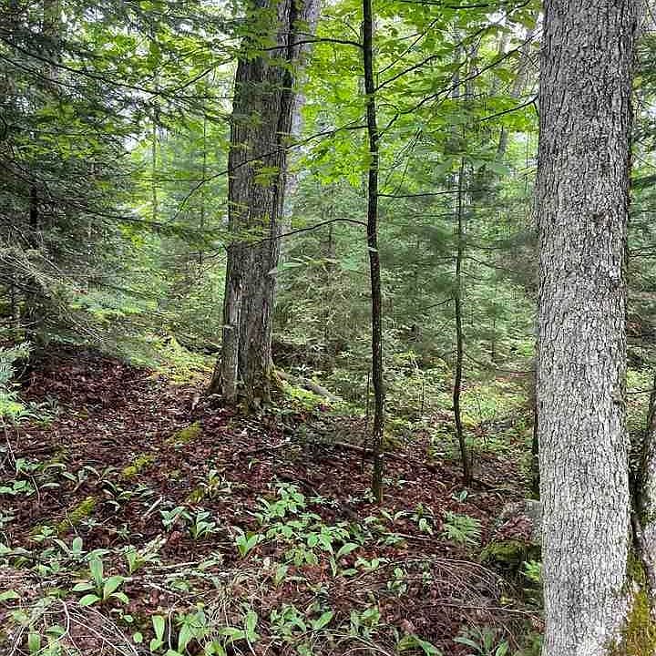 2nd image of 354 Red Rd