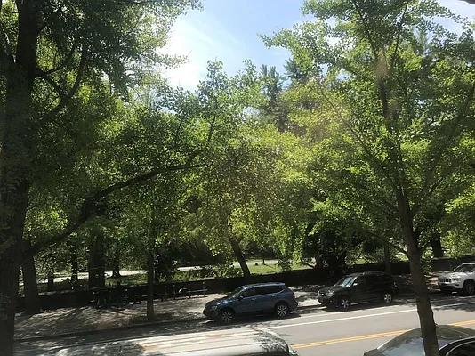 Rented by Sandra Ospina, Licensed Real Estate Broker | media 3