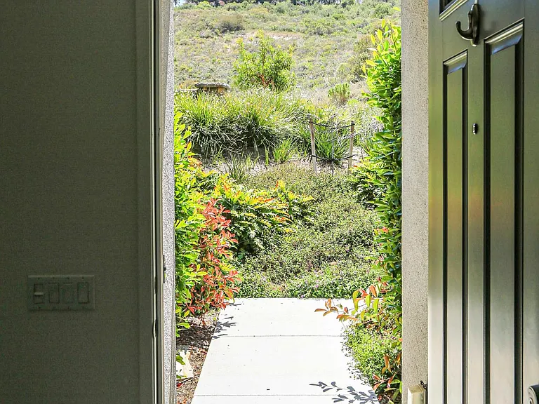 3146 Ceja Pl — Photo 4