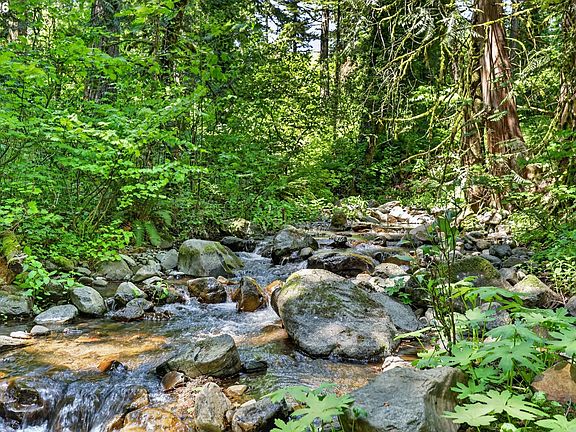 5th image of 112 Carson Creek Rd