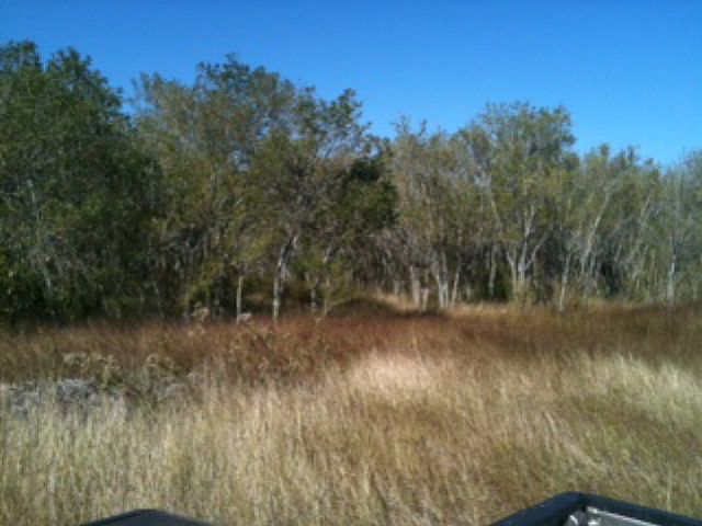 2nd image of 3411 S Old Bastrop Hwy