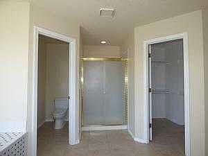 master shower and closet