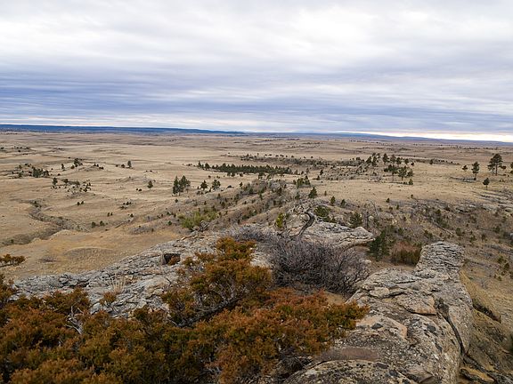 2nd image of 5130 Pineview Rd