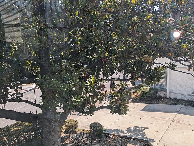 6024 La Vista Dr — Photo 39