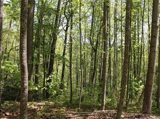 6 Park Knoll Dr, Hendersonville, NC 28792