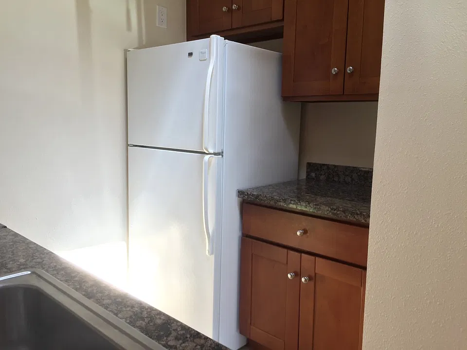 Skylight in kitchen brings in beautiful, natural light.
*Refrigerator has been upgraded to a new one, not the one in photo.
