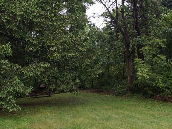 Spacious and wooded back yard; however, not fenced