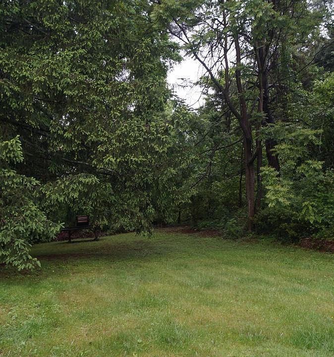 Spacious and wooded back yard; however, not fenced