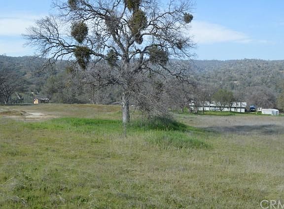 5th image of Lilley Way