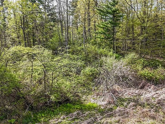 2nd image of 0 Mineral Springs Rd