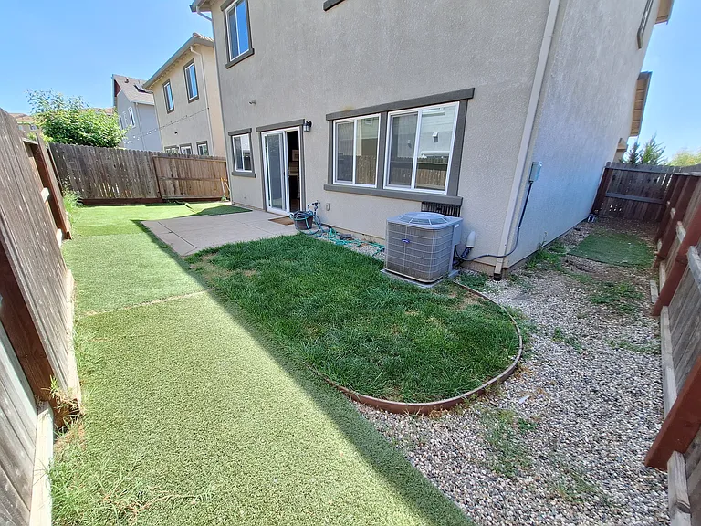 Alboran Sea Cir — Photo 24