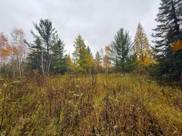 75XX Metske Rd, Eveleth, MN 55734