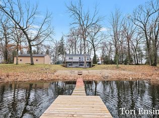 11145 S Holland Rd, Fenwick, MI 48834