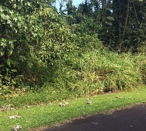 2nd image of Oio St Lot 1505