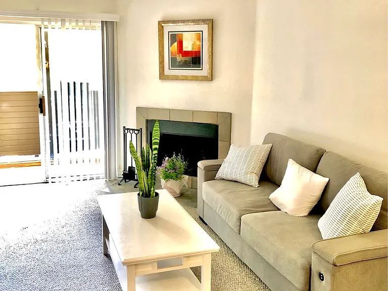 1385 W University Ave #8-260 — Photo 3