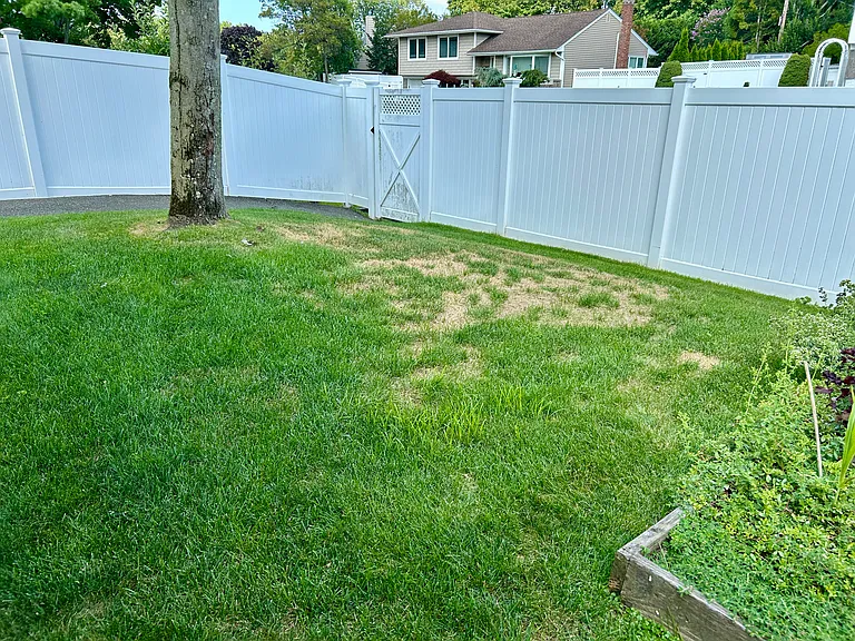 backyard facing Dahill Rd