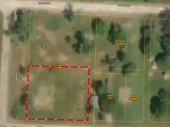 Tbd Gentry Road, Weaubleau, MO 65774