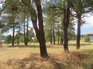 142 Hatcher Cir, Pagosa Springs, CO 81147
