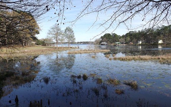 3rd image of 8001 E Cypress Dr