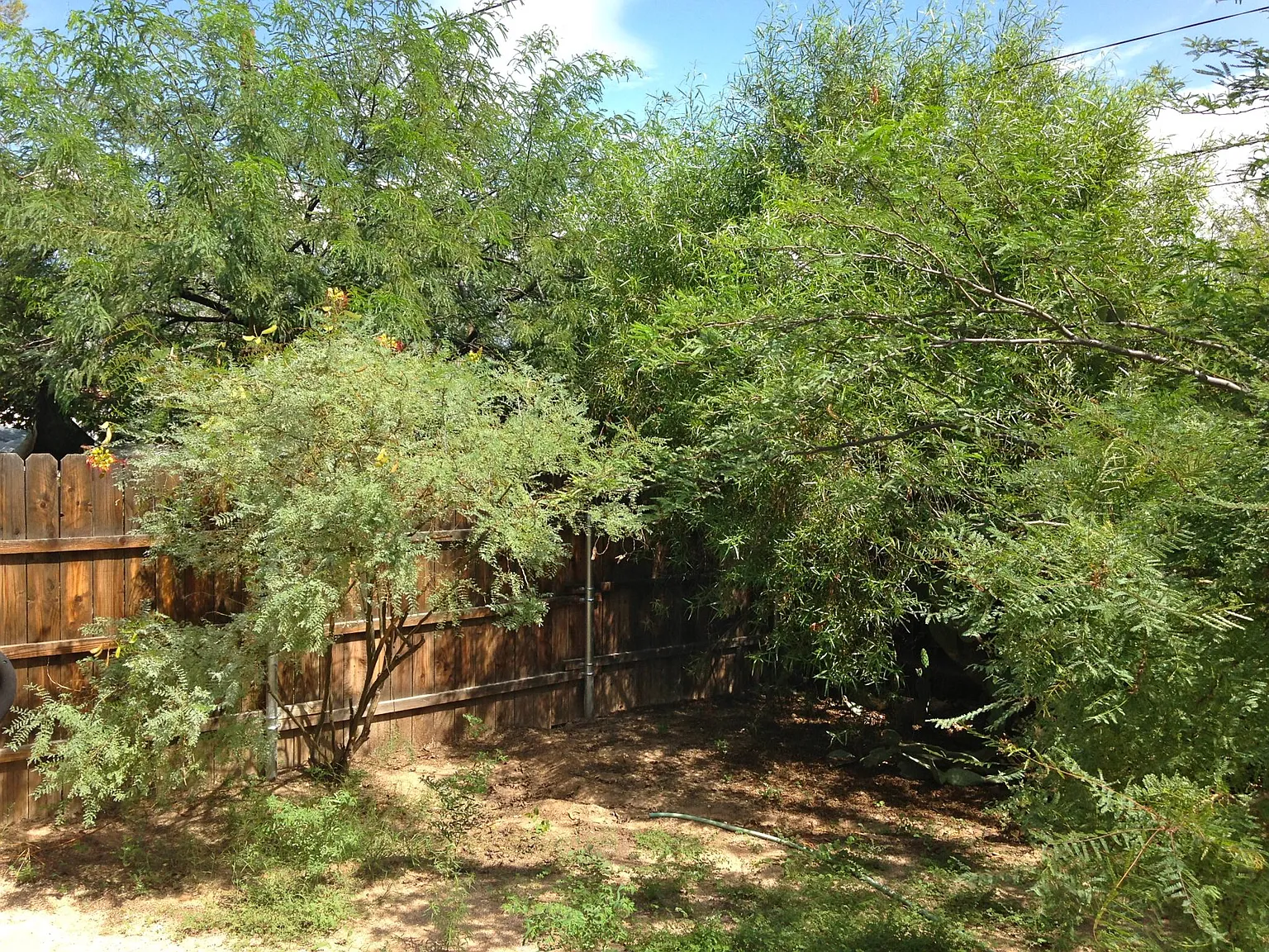 3137 E Kleindale Rd — Photo 3