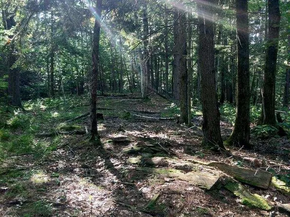 0 Curtis Road, Freeport, ME 04032