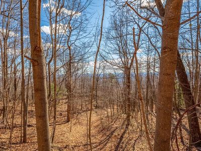 LOT 119 Spring Pond Trl, Fancy Gap VA - Owner Finance Home