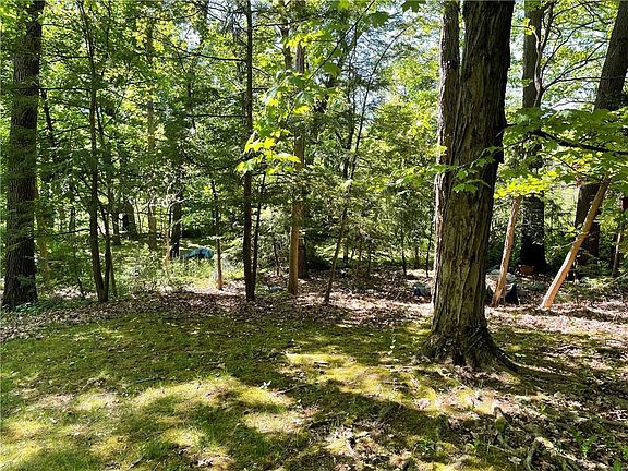 3rd image of 3333 Brookdale Dr