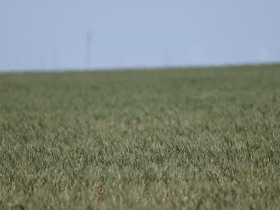 4th image of Ranch Rd #3045