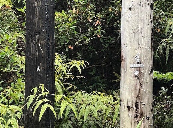 3rd image of LOT 14th