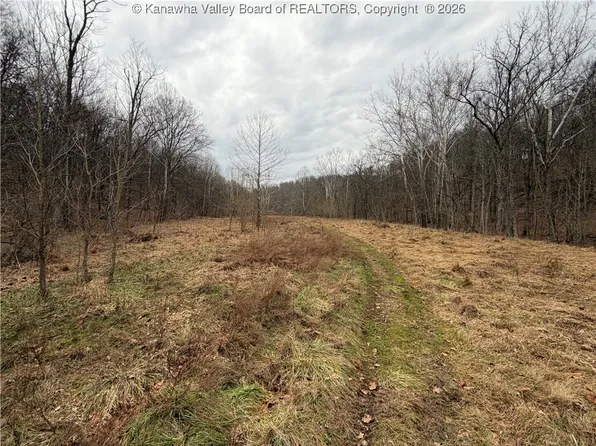 0 Red Brush Run Rd, Ravenswood, WV 26164