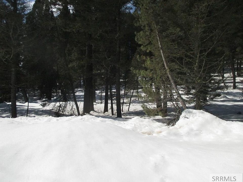2nd image of 4133 Sugar Pine Dr