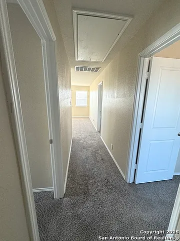 13507 Hummel Loop — Photo 38