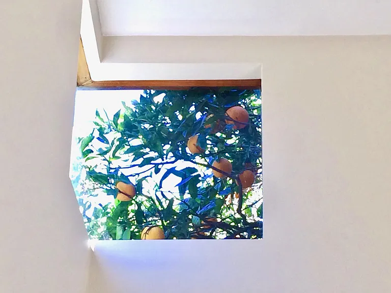 206 Ruth Ave — Photo 12