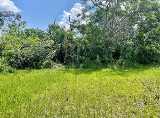Dolarway St LOT 205, Sanford, FL 32771