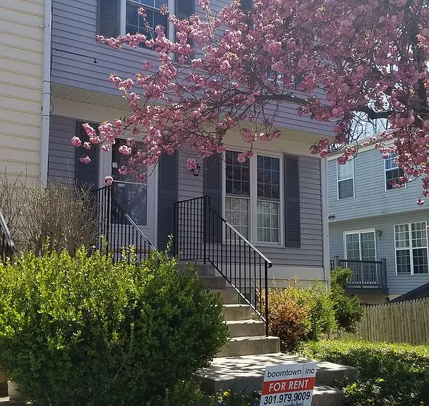 1669 Colonial Way — Photo 1