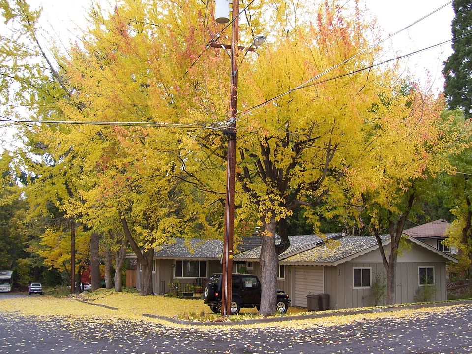 Fall in Mount Shasta