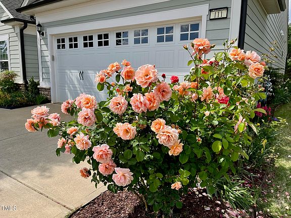2nd image of 111 Kalmia Dr