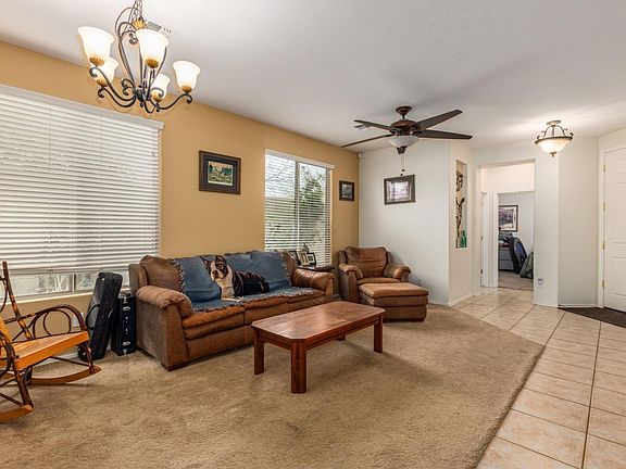 0003Turtle 4
