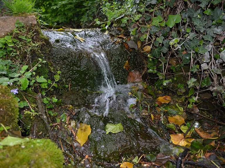 Natural spring