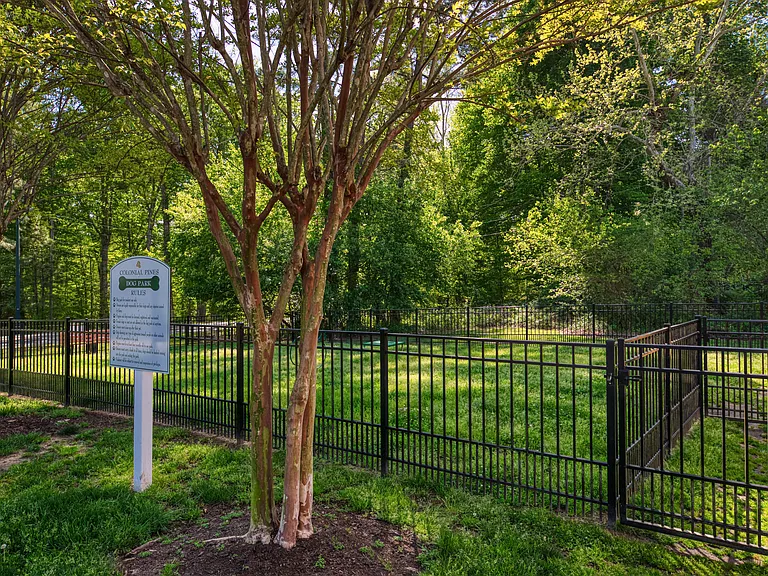 Colonial Pines — Photo 7