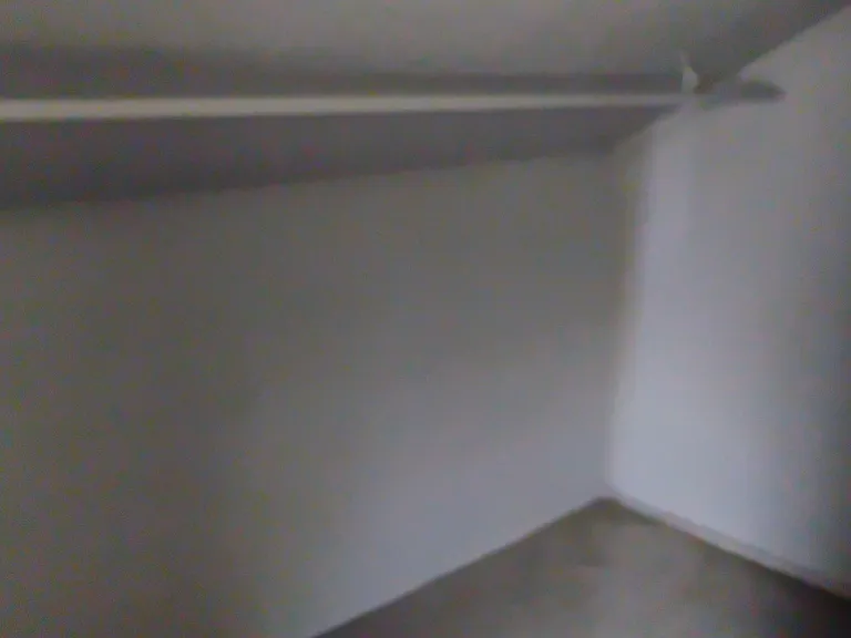 12011 Plainview Ave — Photo 5