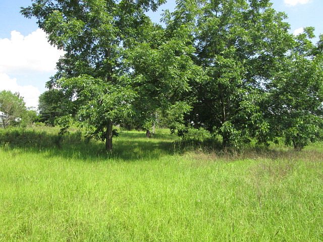 1st image of 1047 County Road 56