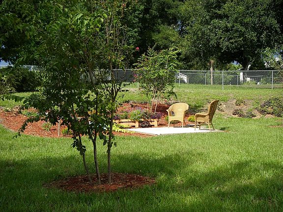 Huge Back Yard