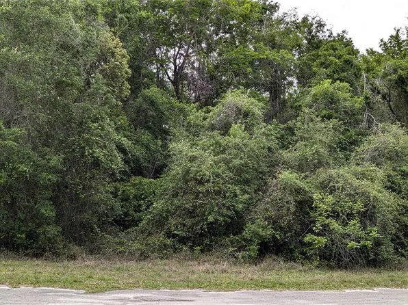 0 SE 23rd Ln Lot 33, Trenton, FL 32693