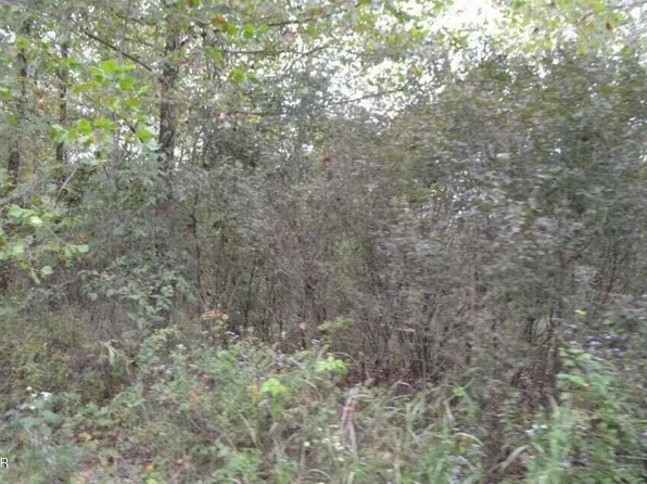 Lot 11 Loma Linda Drive #Block 12, Loma Linda, MO 64804