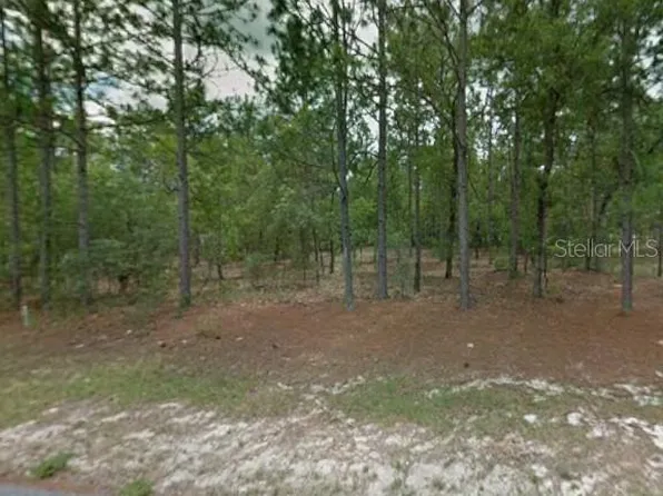 1204 W Fan Dr Lot 8, Dunnellon, FL 34434