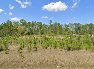 5920 Palm Ave LOT 18, Bunnell, FL 32110