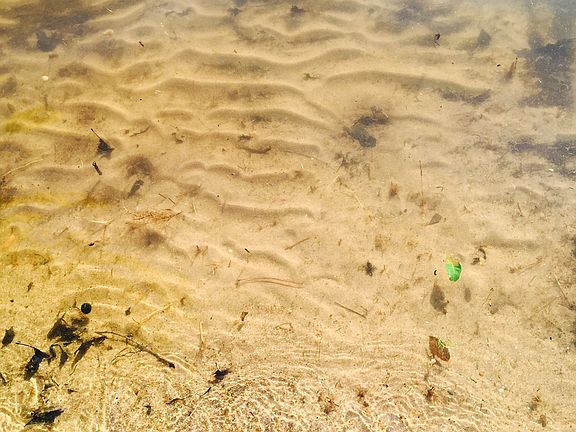 Clear Lake, Sand bottom