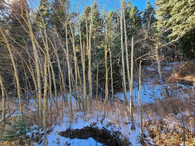 165 Tbd Hwy, Rye, CO, 81069