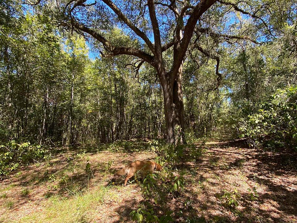 2312 Hartsfield Rd, Monticello, FL 32344 MLS 360834 Zillow